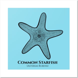 Common Starfish with Common and Scientific Name Posters and Art